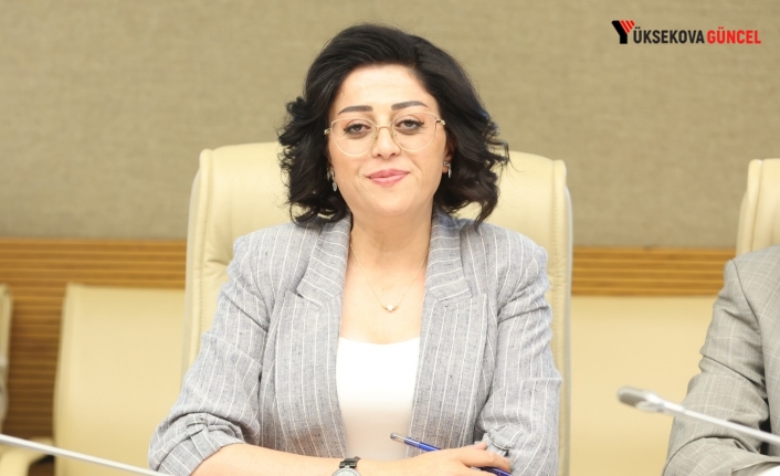 Milletvekili Bartın'den Hakkâri–Van Karayolu İçin Meclis’e Araştırma Önergesi