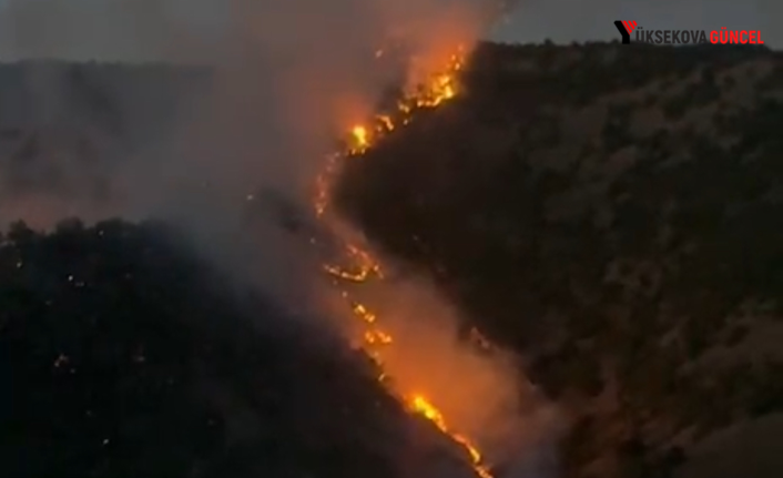 Şemdinli'de Korkutan Yangın: Alevler Köye Yaklaşıyor