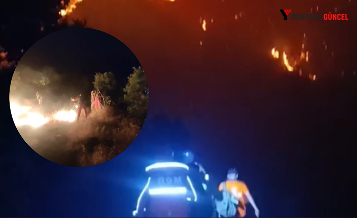 Şemdinli'de Orman Yangını: Alevler Yerleşim Yerine Ulaştı, Ekipler Müdahale Ediyor