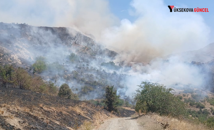 Türkiye-İran sınırında yangın: Vatandaşlar müdahale etti