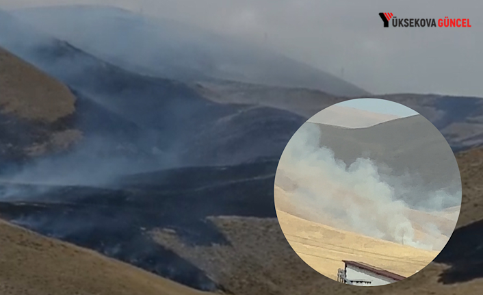 Yüksekova'da Kırsal Alan Yangını: İtfaiye Ekipleri Harekete Geçti