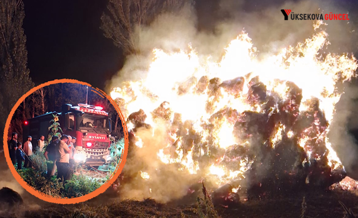 Yüksekova'da Ot Yangını Korkuttu