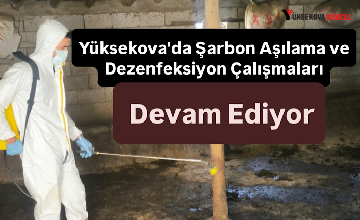 Yüksekova'da Şarbon Aşılama ve Dezenfeksiyon Çalışmaları Devam Ediyor