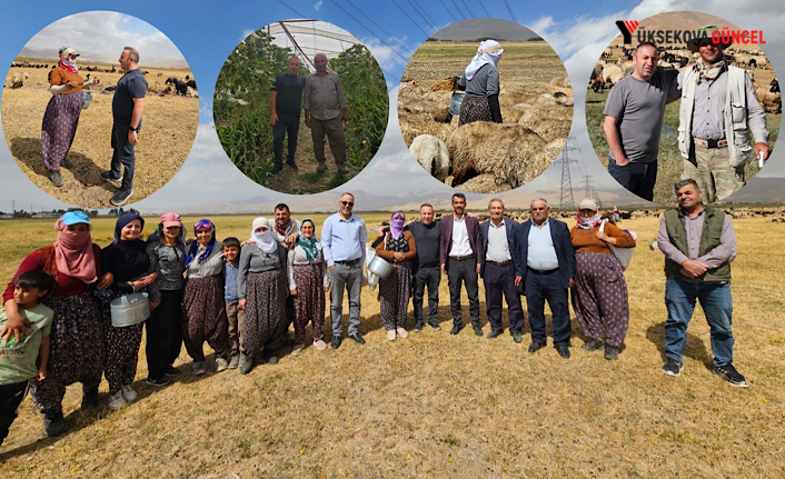 Yüksekova’da çiftçiler rahat bir nefes aldı: “Şap hastalığı kontrol altına alındı”