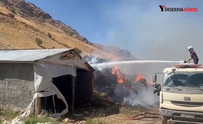 Yüksekova’da yangın: 20 bin bağ ot kül oldu