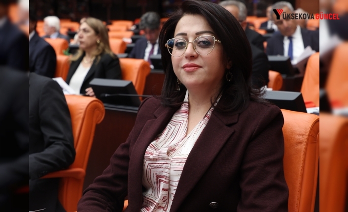 Hakkari Milletvekili Bartin’den Üniversiteler ve MTA Hakkında Çarpıcı Sayıştay Raporu Sorgusu