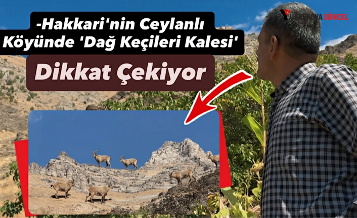 Hakkari'nin Ceylanlı Köyünde 'Dağ Keçileri Kalesi' Dikkat Çekiyor