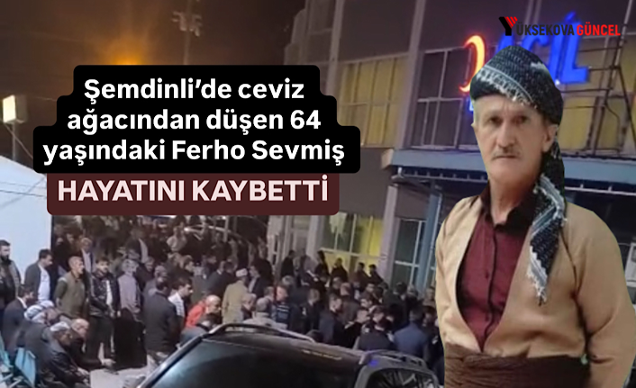 Şemdinli’de ceviz ağacından düşen 64 yaşındaki Ferho Sevmiş hayatını kaybetti