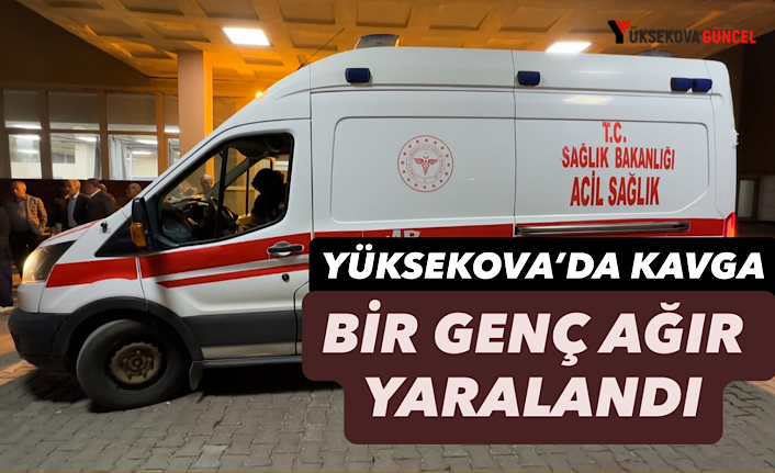Yüksekova'da Kavga: Bir Genç Ağır Yaralandı