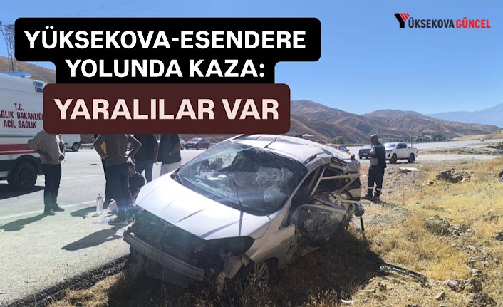 Yüksekova-Esendere Yolunda Kaza: Yaralılar Var