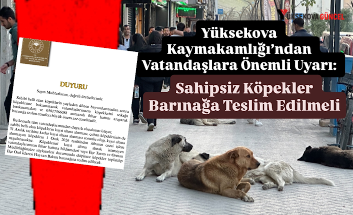 Yüksekova Kaymakamlığı’ndan Vatandaşlara Önemli Uyarı: Sahipsiz Köpekler Barınağa Teslim Edilmeli