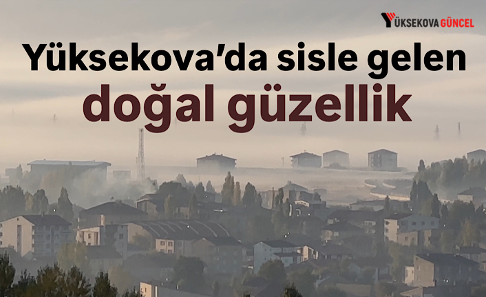 Yüksekova’da sisle gelen doğal güzellik