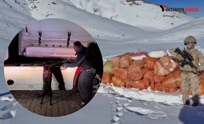 Bakan Yerlikaya Duyurdu: Hakkari ve Ağrı’da Dev Uyuşturucu Operasyonu