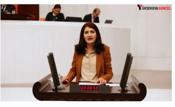 Eski HDP Milletvekili Semra Güzel tahliye edildi