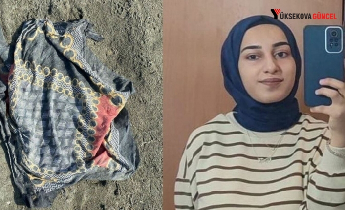 Rojin Kabaiş soruşturmasında sürpriz tanık: Arabaya bindirilirken "Babamın haberi var mı?" dedi