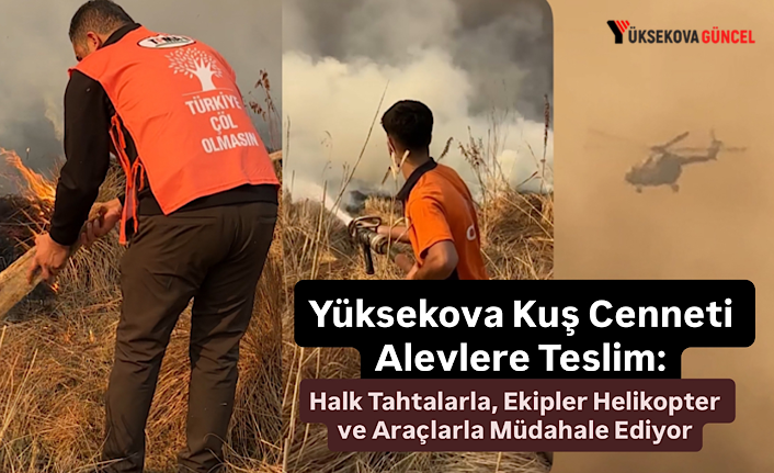 Yüksekova Kuş Cenneti Alevlere Teslim: Halk Tahtalarla, Ekipler Helikopter ve Araçlarla Müdahale Ediyor