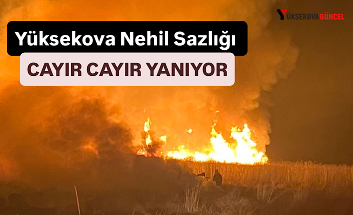 Yüksekova Nehil Sazlığı cayır cayır yanıyor