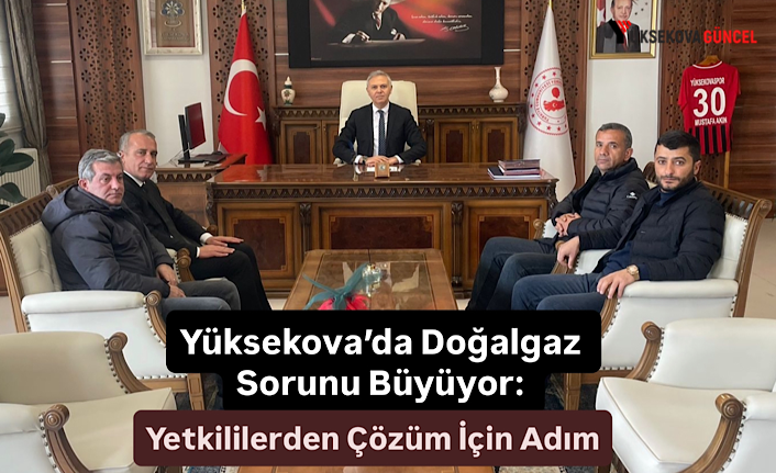 Yüksekova’da Doğalgaz Sorunu Büyüyor: Yetkililerden Çözüm İçin Adım