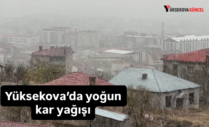 Yüksekova’da yoğun kar yağışı