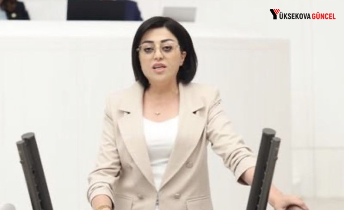 Bartın Meclis’te sordu: Dağlıca Mezralarına Geri Dönüş Neden Sağlanmıyor?