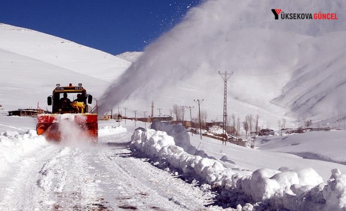 Hakkari genelinde 13 köy ve 30 mezra yolu ulaşıma kapandı