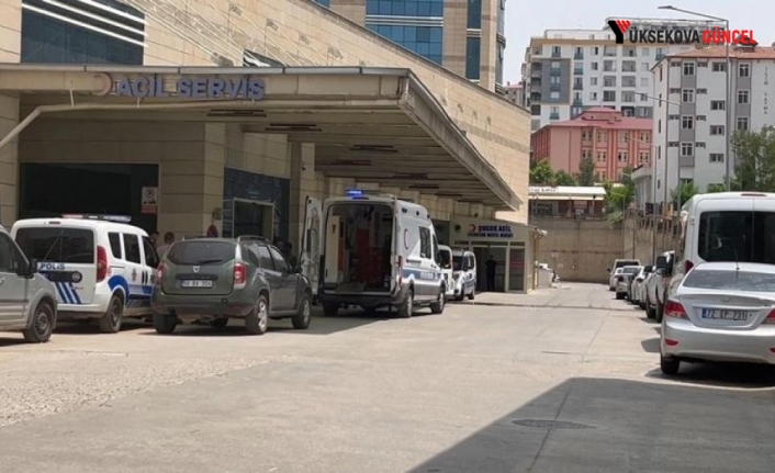 Mezarlıkta korkunç olay: 2 genç boğazları kesilmiş halde bulundu