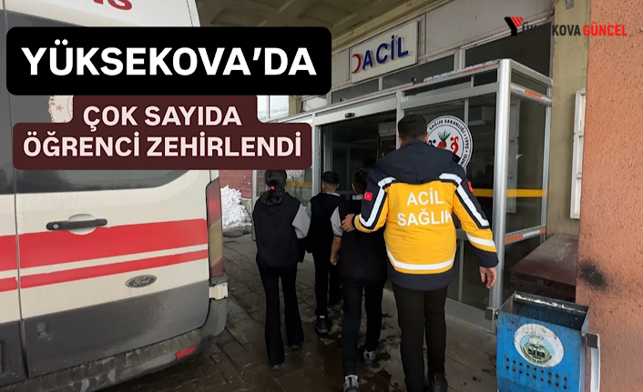 Yüksekova’da çok sayıda öğrenci zehirlendi