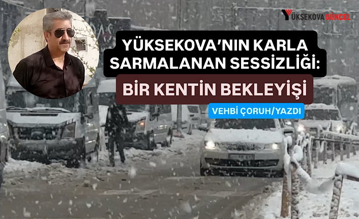 Yüksekova’nın karla sarmalanan sessizliği: Bir kentin bekleyişi