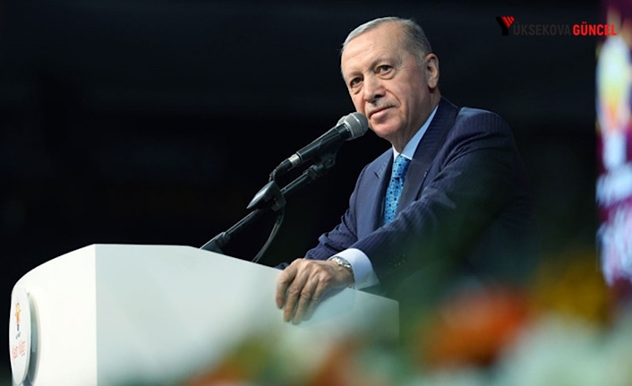 Erdoğan: Çözüm süreci gündelik siyasete kurban edilmeyecek