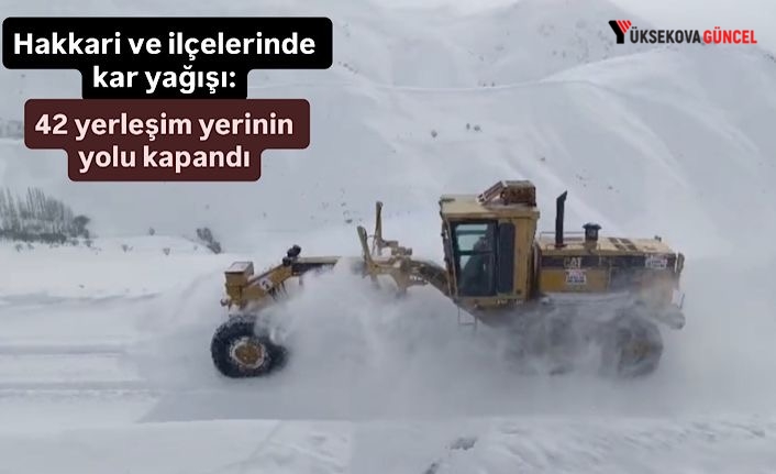Hakkari ve ilçelerinde kar yağışı: 42 yerleşim yerinin yolu kapandı