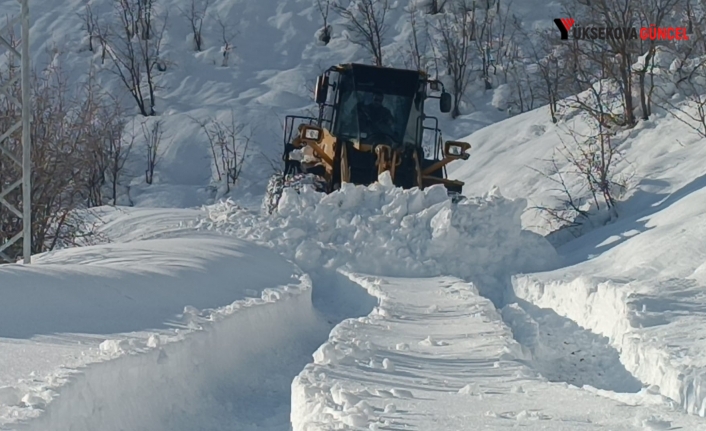 Hakkâri’de Yoğun Kar Yağışı Ulaşımı Aksattı: 60 Köy ve 100 Mezra Yolu Kapalı