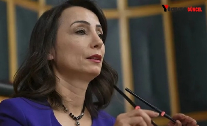 Hatimoğulları: SDG bir kez daha barış eli uzattı, Bahçeli’nin İsrail-Kürt ilişkisi tanımlaması bir algı yaratma gayreti