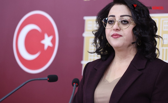 Hakkâri Milletvekili Öznur Bartın’dan Trafik Kanunu ve Kobani Vurgusu