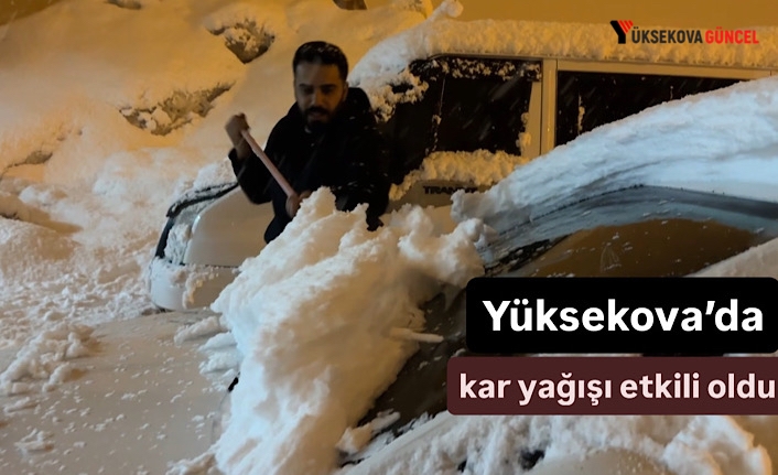 Yüksekova’da kar yağışı etkili oldu
