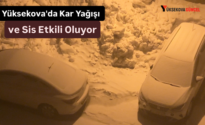 Yüksekova’da Kar Yağışı ve Sis Etkili Oldu