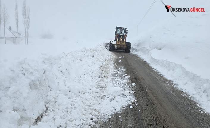 Hakkari’de 17 Köy ve 44 Mezra Yolu Ulaşıma Kapandı