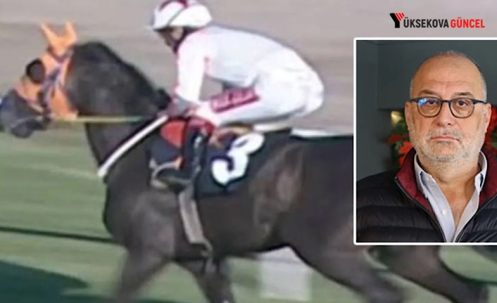 Kavurmadan İngiliz yarış atı çıkmıştı: Sahibine 132 bin TL ceza!