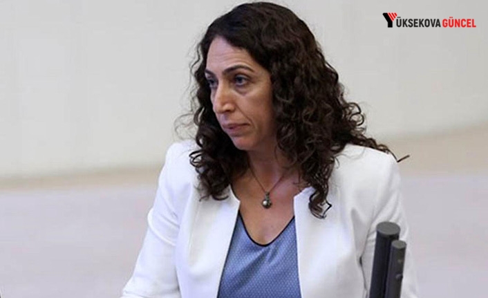 Saliha Aydeniz Meclis İdare Amirliği görevinden çekildi: DEM Parti disiplin soruşturması başlattı