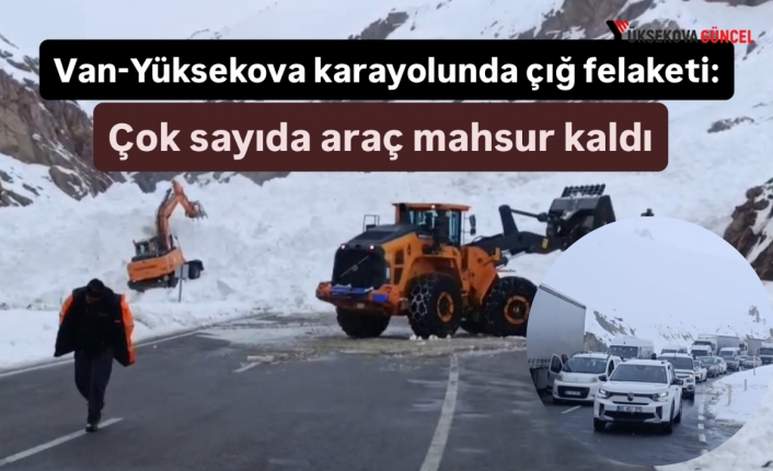 Van-Yüksekova karayolunda çığ felaketi: Çok sayıda araç mahsur kaldı