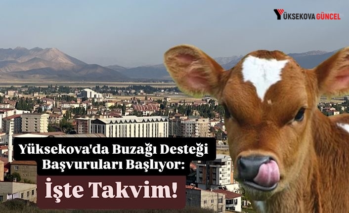Yüksekova'da Buzağı Desteği Başvuruları Başlıyor: İşte Takvim!