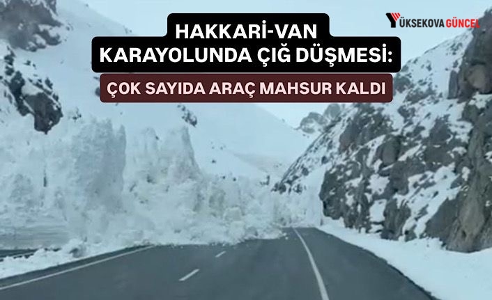 Yüksekova-Van karayolunda çığ düşmesi: Çok sayıda araç mahsur kaldı