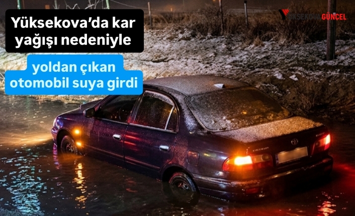 Yüksekova’da bir otomobil yoldan çıkarak suya girdi