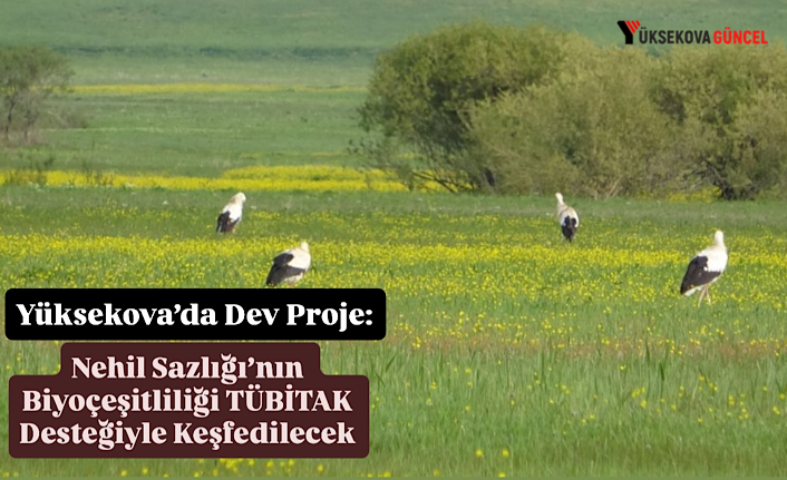 Yüksekova’da Dev Proje: Nehil Sazlığı’nın Biyoçeşitliliği TÜBİTAK Desteğiyle Keşfedilecek