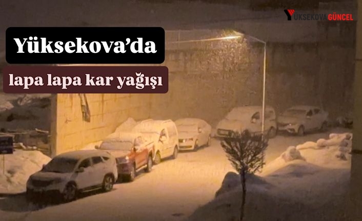 Yüksekova’da Kar Yağışı