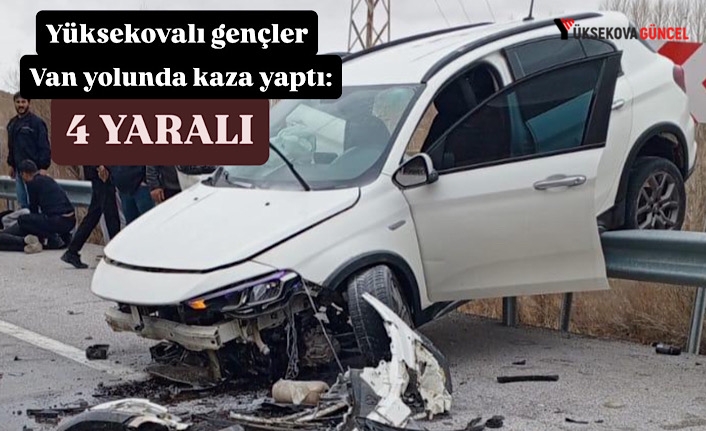 Yüksekovalı gençler Van yolunda kaza yaptı: 4 yaralı