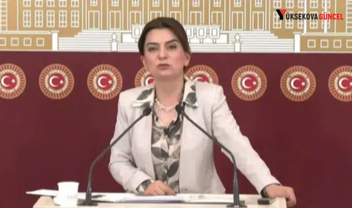 DEM Parti’den sert çıkış: “Bu sadece bir cinayet değil, sistem sorunu”