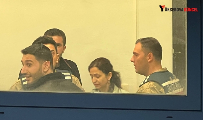 Gülistan Doku soruşturması: Eski valinin oğlu Mustafa Türkay Sonel tutuklandı