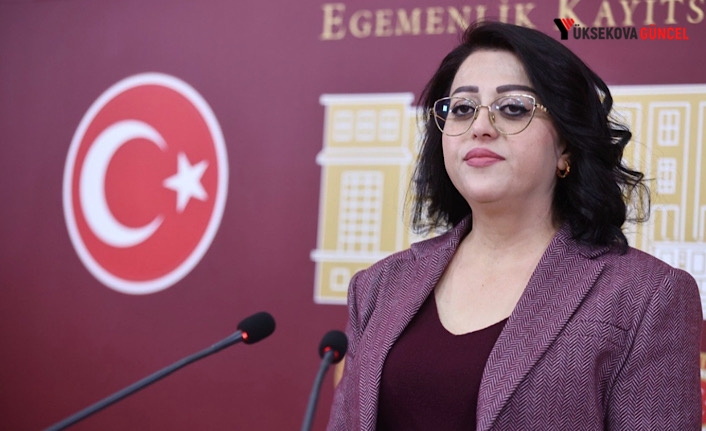 Hakkâri’de 30 Milyon Avroluk Atık Tesisi Heyelanla Kullanılamaz Hale Geldi: Meclis’e İki Ayrı Soru Önergesi