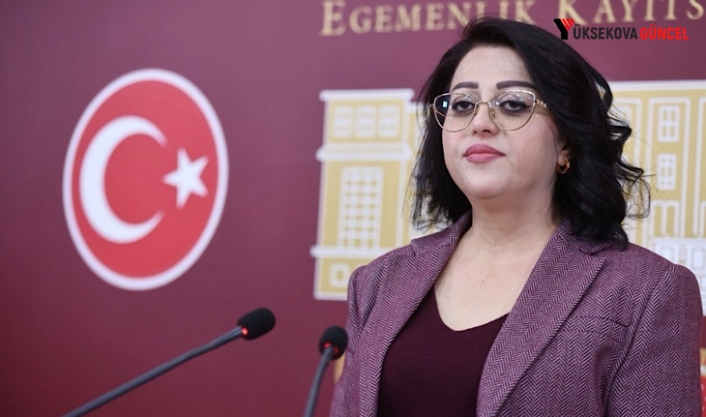 Hakkâri’de Yol Sorunu Eğitimi Vurdu: 12 Öğrenci Okula Gidemedi