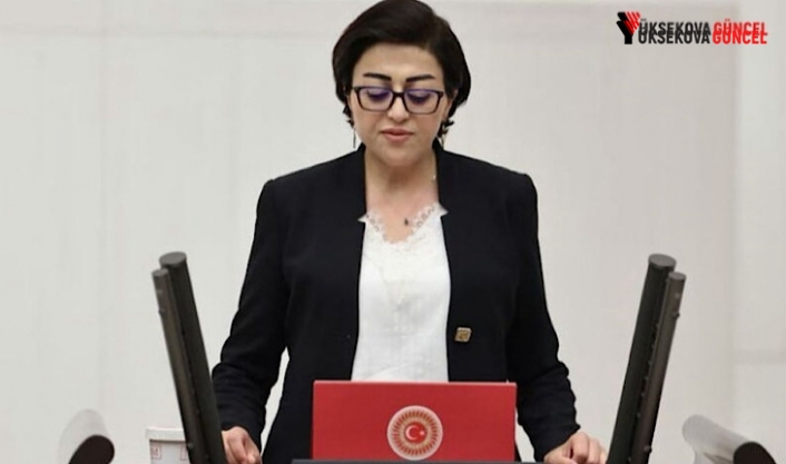 Öznur Bartin’den Hakkâri-Van Yolu Tepkisi: “Kent 16 Gündür Tecrit Altında”